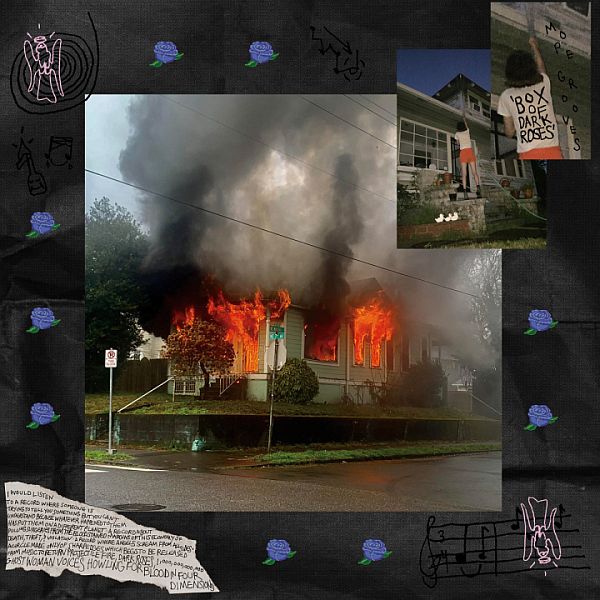 MOPE GROOVES - Box of Dark Roses 2LP