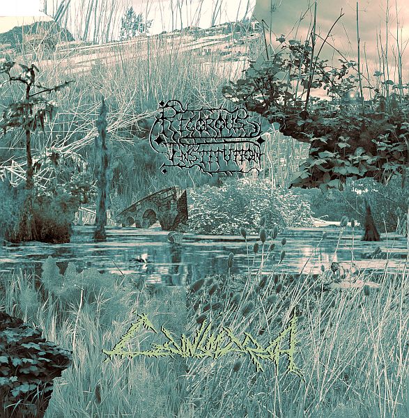 ** FLASH SALE ** RIGOROUS INSTITUTION - Cainsmarsh LP