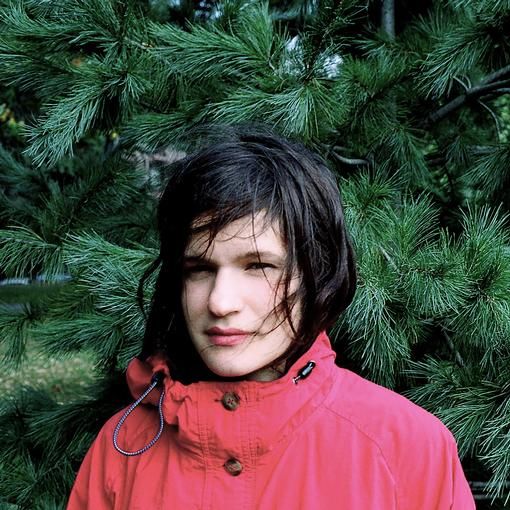 ADRIANNE LENKER - Hours Were The Birds LP