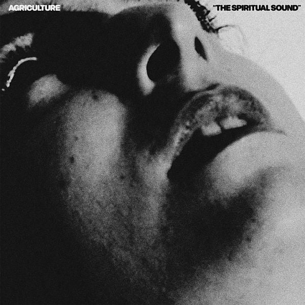SHOEGAZE / DREAM POP
