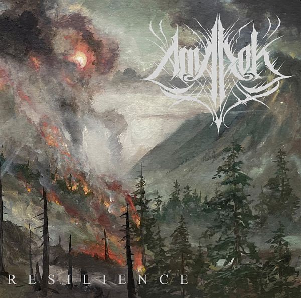 AMAROK - Resilience 2LP