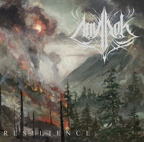 AMAROK - Resilience 2LP
