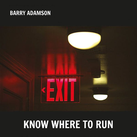 BARRY ADAMSON - Know Where To Run LP (colour vinyl)