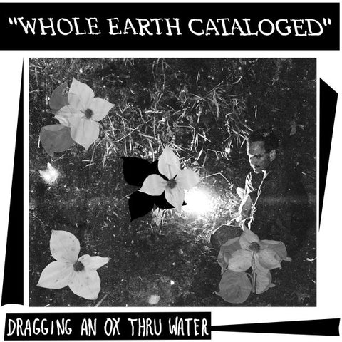 DRAGGING AN OX THROUGH WATER - Whole Earth Cataloged LP