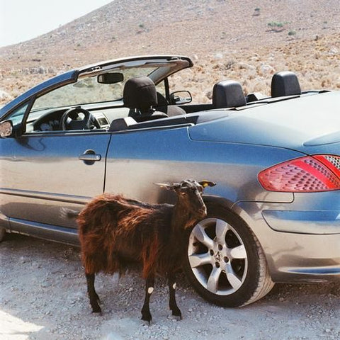 * PREORDER * EXEK - Prove The Mountains Move LP