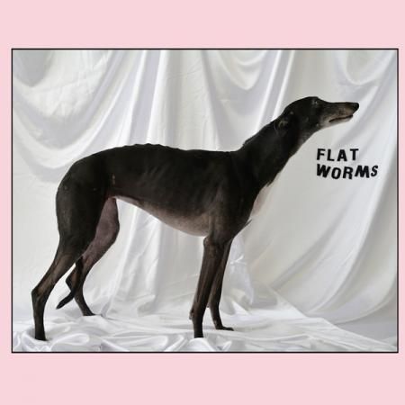 FLAT WORMS - s/t CD