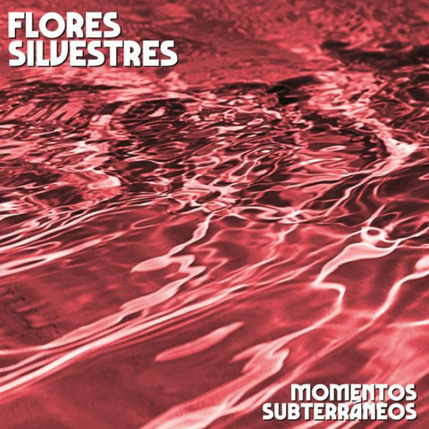 FLORES SILVESTRES - Momentos Subterraneos LP