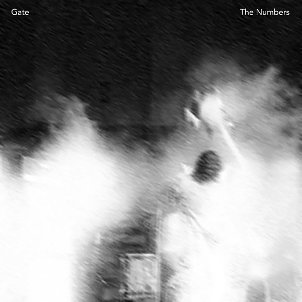 GATE - The Numbers LP