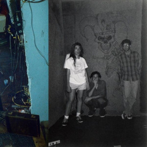 HARRY PUSSY - You'll Never Play This Town Again 2LP