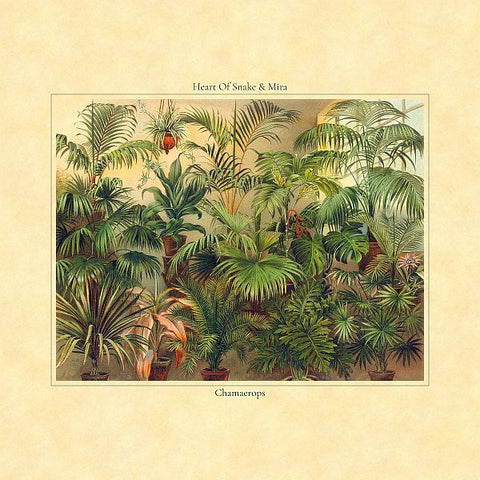 HEART OF SNAKE and MIRA - Chamaerops LP