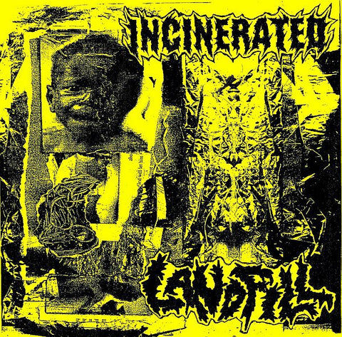 INCINERATED / LANDFILL split 7"