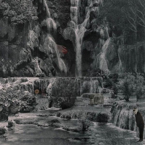 * PREORDER * LAMBCHOP - Punching The Clown LP