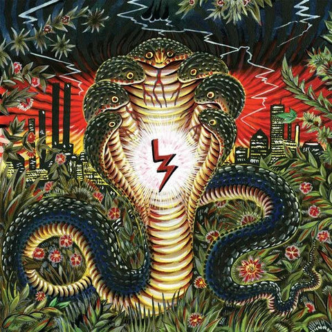 LIQUOR STORE - In The Garden LP