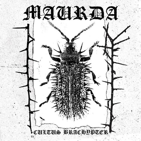 MAURDA - Cultus Brachypter LP