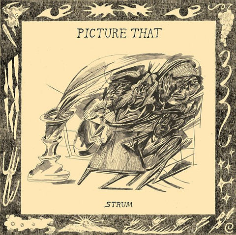 PICTURE THAT - Strum LP