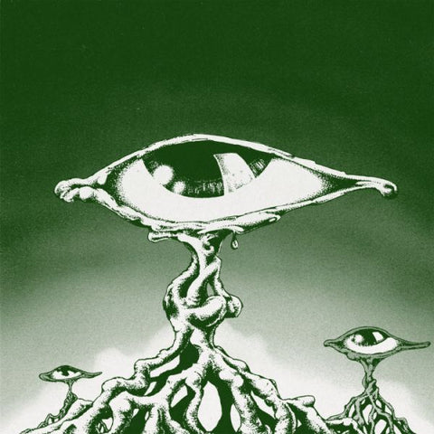 PRIMITIVE RING - In The Ground 7" (colour vinyl)
