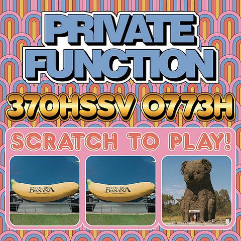 PRIVATE FUNCTION - 370HSSV 0773H LP