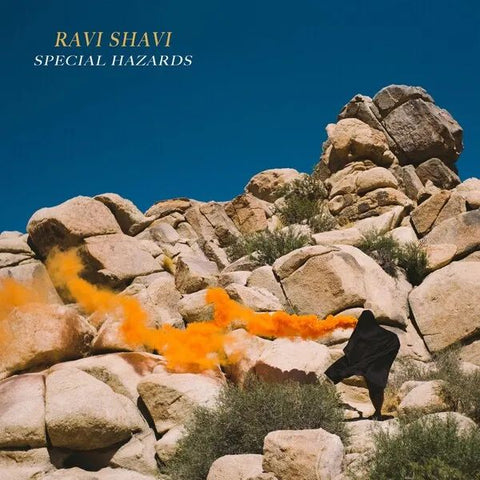 RAVI SHAVI - Special Hazards LP