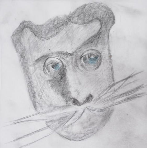 * PREORDER * RUMP STATE - Psychic Sidekick LP