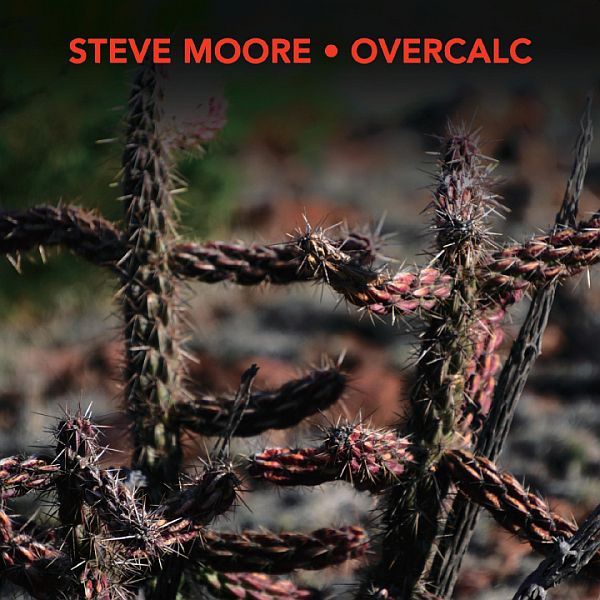 STEVE MOORE / OVERCALC - Calyx LP