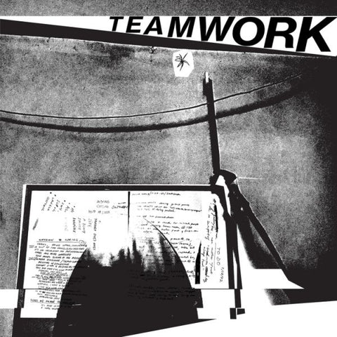 TEAM WORK - Somebody's Gotta Do It LP