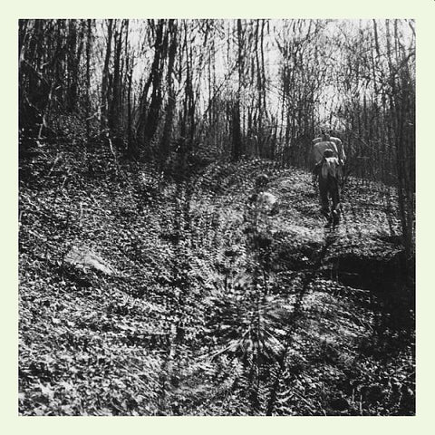 TOPOGRAPHIES - Interior Spring LP