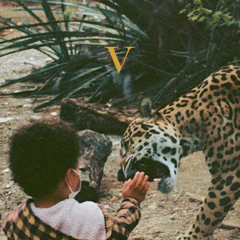 UNKNOWN MORTAL ORCHESTRA - V 2LP (colour vinyl)
