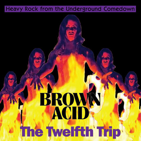 v/a- BROWN ACID: THE TWELFTH TRIP CD