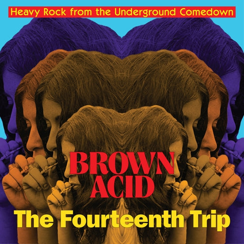 v/a- BROWN ACID: THE FOURTEENTH TRIP CD