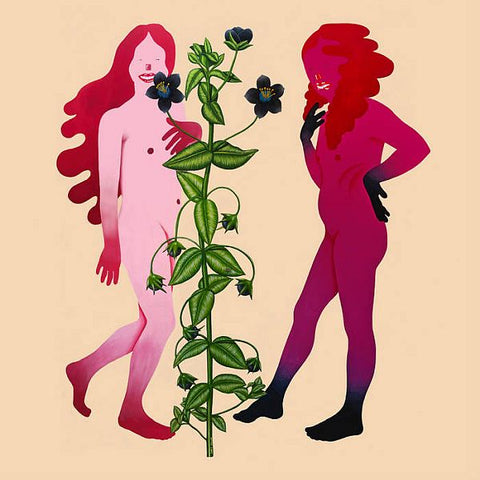 v/a- SOMEONE LIKE ME 2LP