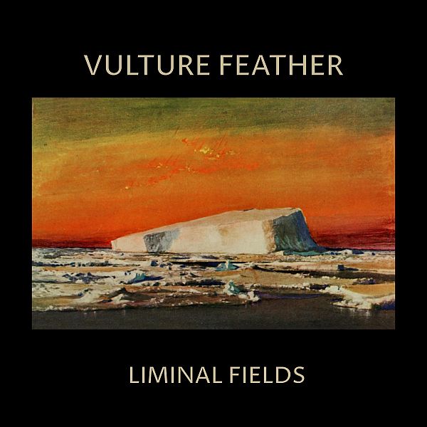 VULTURE FEATHER - Liminal Fields LP (colour vinyl)