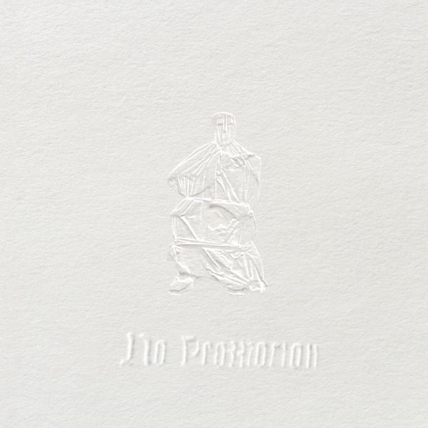 * PREORDER * WHIMM - No Promotion LP