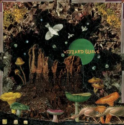 WIZZARD SLEEVE - Make the World Go Away LP
