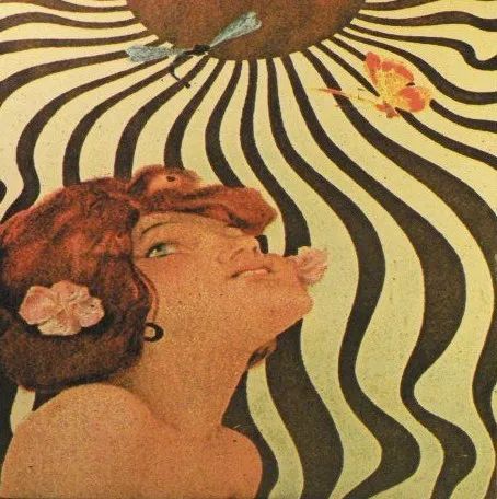 ZEN GUERRILLA - Shadows On The Sun LP