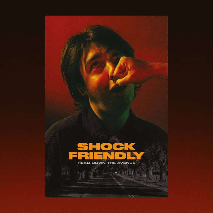 SHOCK FRIENDLY - Head Down The Avenue LP