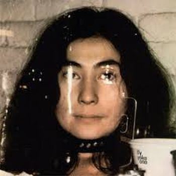 YOKO ONO - Fly 2LP