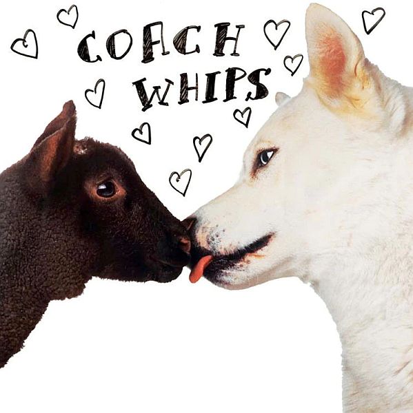 COACHWHIPS - Bangers vs Fuckers LP (colour vinyl)