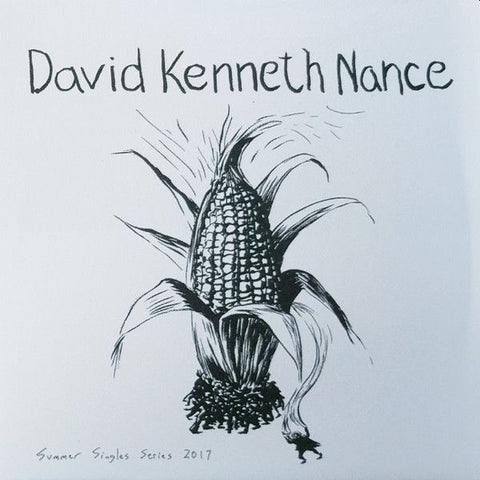 DAVID NANCE BAND - Amethyst 7"