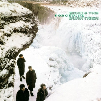 ECHO & THE BUNNYMEN - Porcupine LP