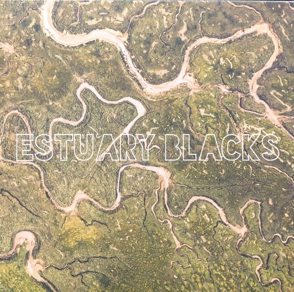 ESTUARY BLACKS - s/t LP (colour vinyl)