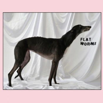 FLAT WORMS - s/t LP