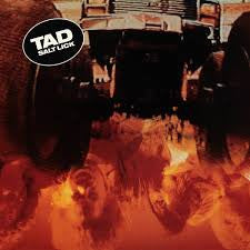 TAD - Salt Lick LP