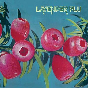 LAVENDER FLU - Mow The Glass LP / CD