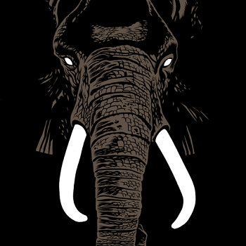 PALM UNIT - Don't Buy Ivory Anymore! - The Music of Henri Texier LP