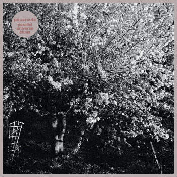 PAPERCUTS - Parallel Universe Blues LP (colour vinyl)