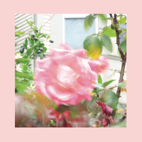 REDS, PINKS AND PURPLES - Summer At Land's End LP (colour vinyl)