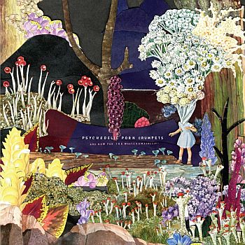 PSYCHEDELIC PORN CRUMPETS - And Now For The Watchamacallit LP