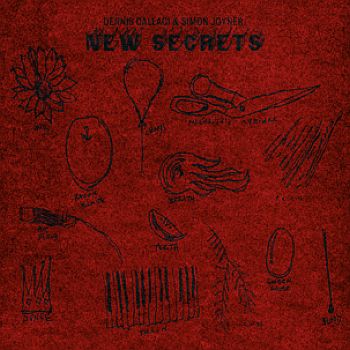 SIMON JOYNER and DENNIS CALLACI - New Secrets LP