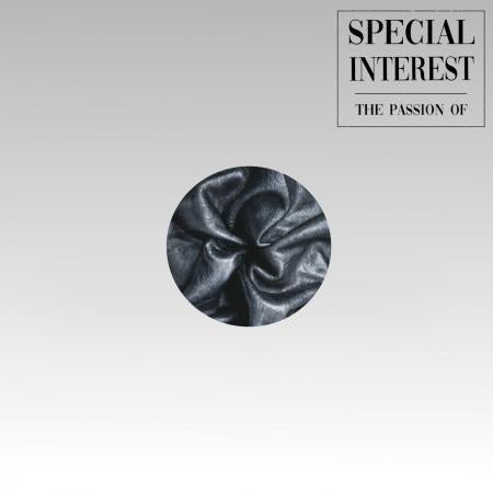 SPECIAL INTEREST - The Passion Of LP