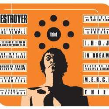 DESTROYER - Thief LP